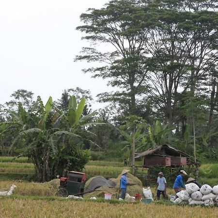 Pondok Gepokan Homestay Ubud  Exterior photo