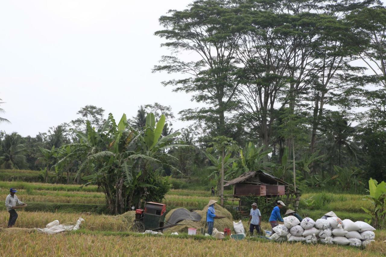 Pondok Gepokan Homestay Ubud  Exterior photo