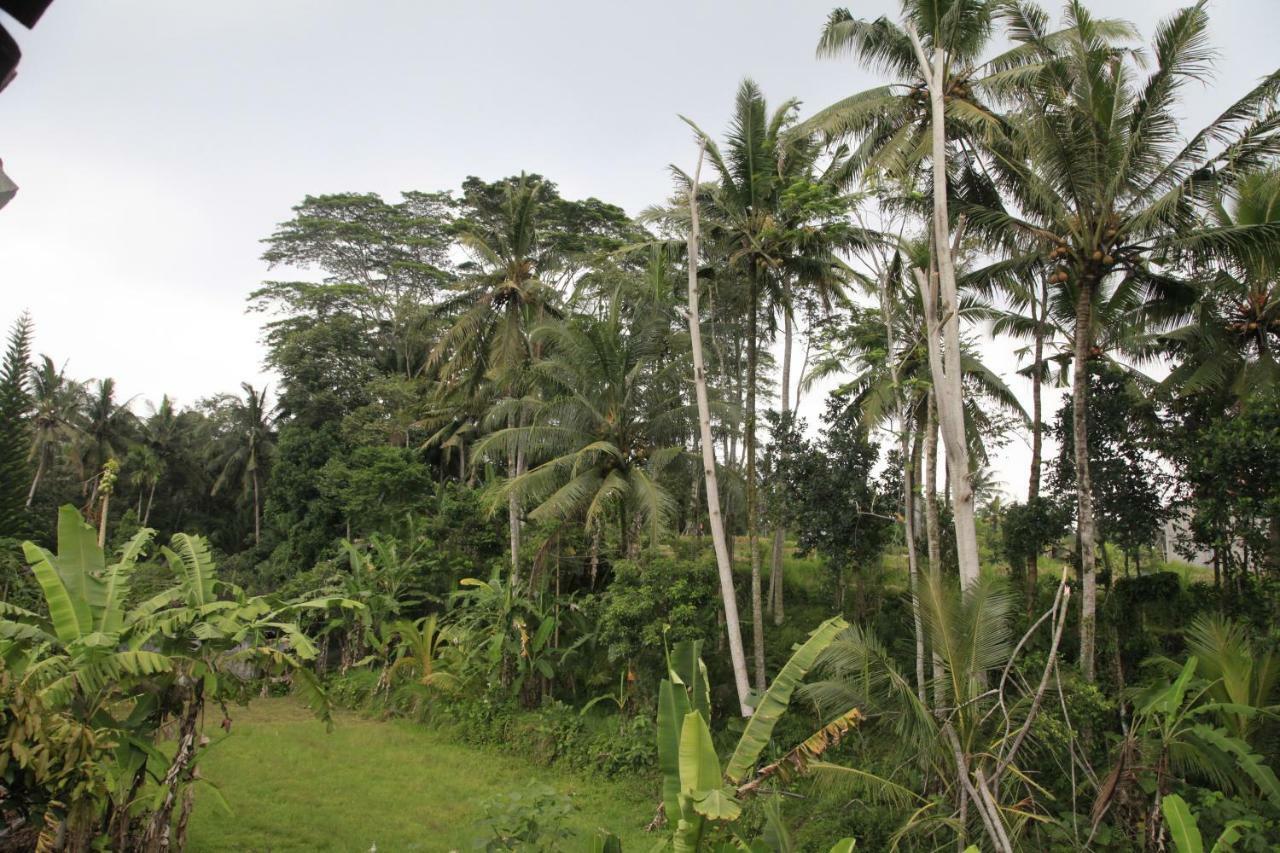 Pondok Gepokan Homestay Ubud  Exterior photo